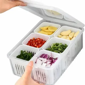 6-compartment Fridge Container